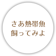 さあ熱帯魚飼ってみよ