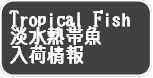 WMы
